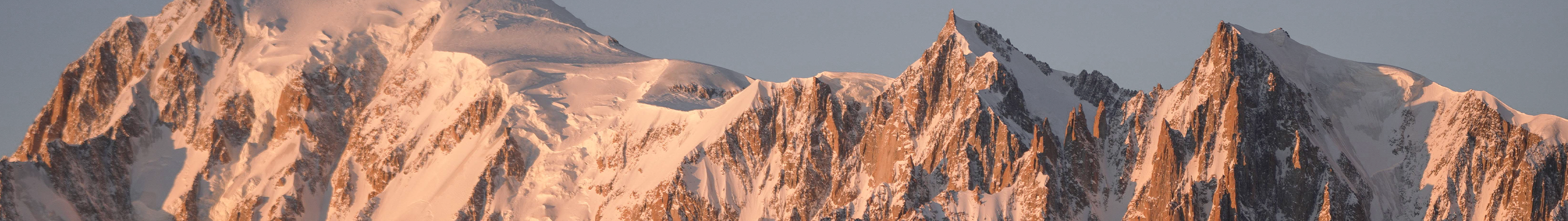 Monthly selection & news