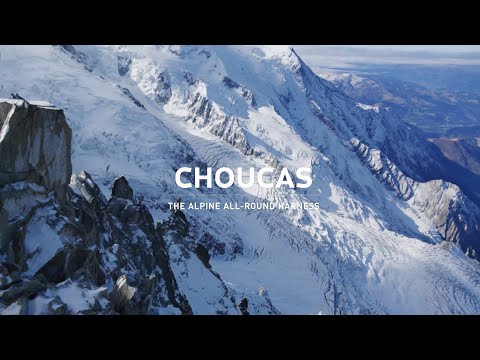 Choucas